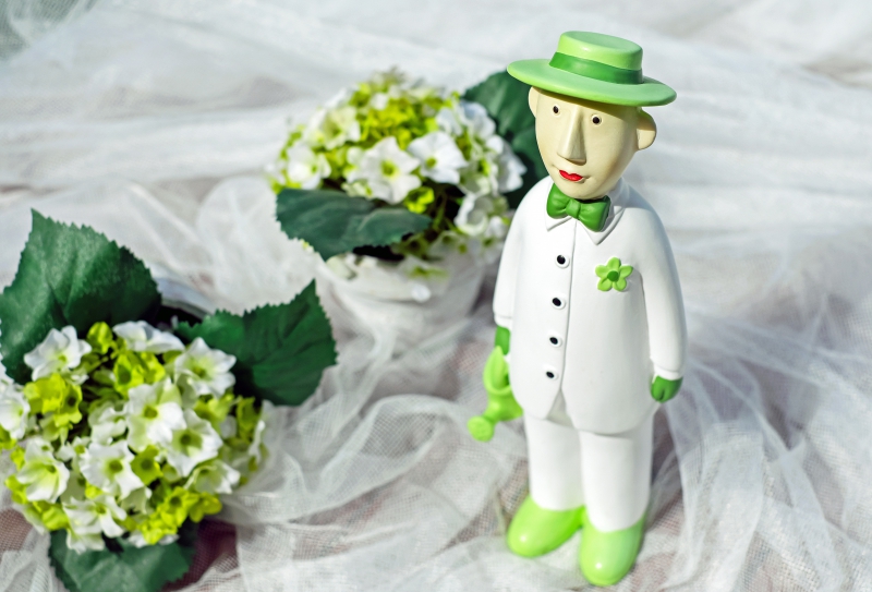 vitrine-CLAVIERS-min_man-person-flower-green-toy-fig-546529-pxhere.com